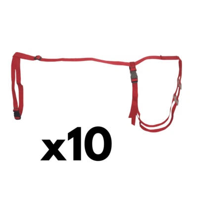 Ewe Prolapse Harness x10 -Sheep Lambing Truss - Connell of Sheffield