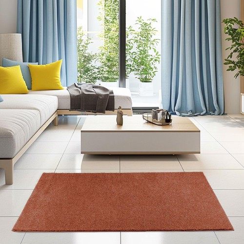 Bright House Solid Color Area Rugs Rust - 2' x 6' Runner Indoor Stain & Fade ... - Picture 2 of 9