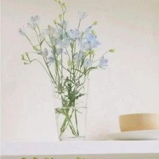 Elegant Fashion Accessory - Miscellaneous Official