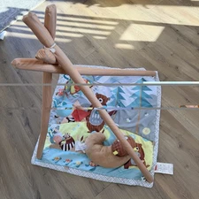 Skip Hop Baby Play Gym, Camping Cubs