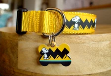 Snoopy Pet ID & Dog Collar