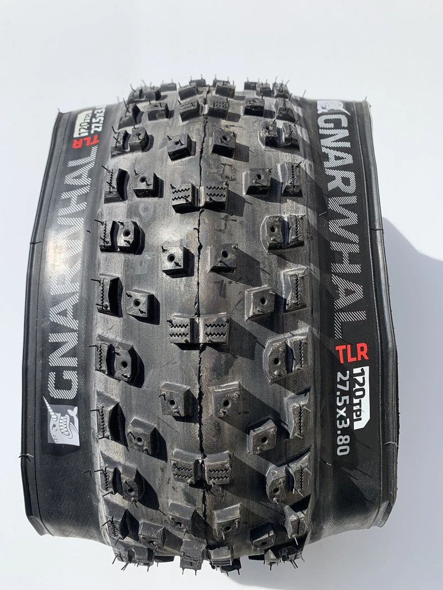 Bontrager fat store tires