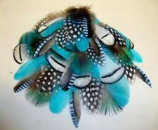 Mixed Feathers Lady Amherst  Guinea Pheasant Blue Jay Chukar Peacock 35 Pc #8