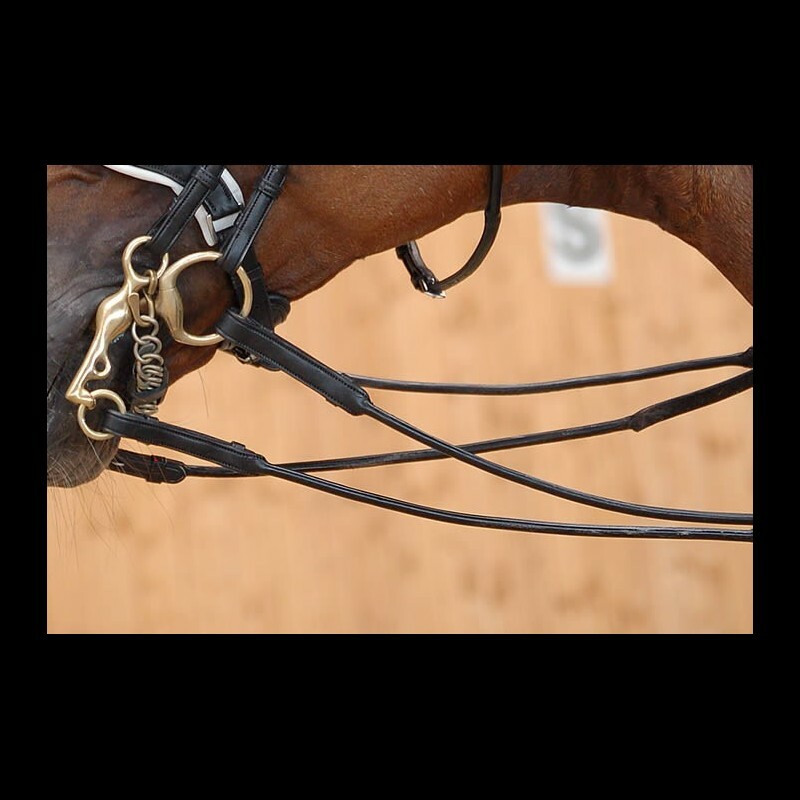 Dy'on Renes Hunter 5/8 Dressage Collection Reins RB259BLF - Black - Full