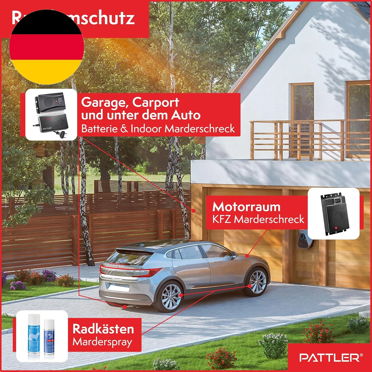 Bild 8 von 12