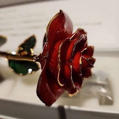 Real Rose Dipped 24K Gold, Anniversary Valentines Gift for Red Opening Rose
