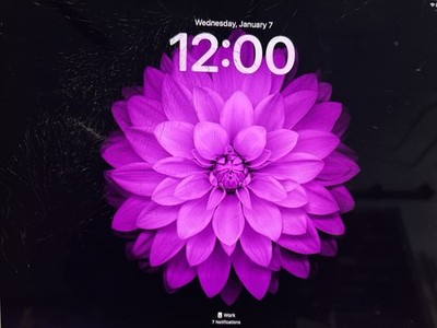 iPad Pro 12.9  2nd Gen Wi-Fi-256 GB, Silver Cracked Screen- Fully functional