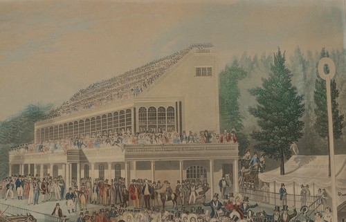 Ori. Litografia a colori "Grand Stand Goodwood" incisa da Charles Hunt 75x51 cm - Foto 7 di 18