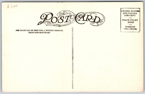 Cuernos postales Texas Long Horn Steer 9 ft - Imagen 2 de 2