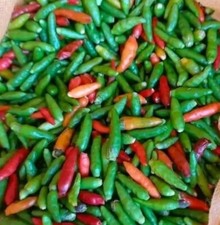 30 SEEDS Bird s Eye Chili Pepper SILING LABUYO NON GMO Buy2get1FREE