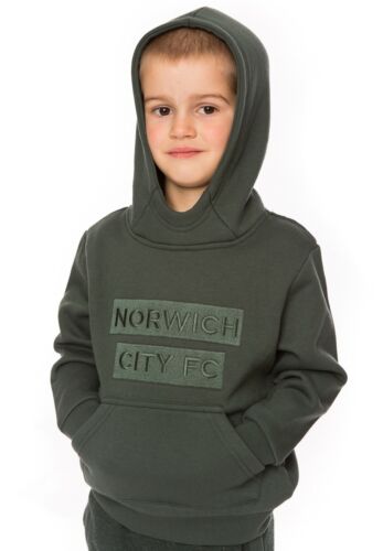 Sudadera con capucha de fútbol Norwich City niños 4 5 años niños NCH16 - Imagen 1 de 1