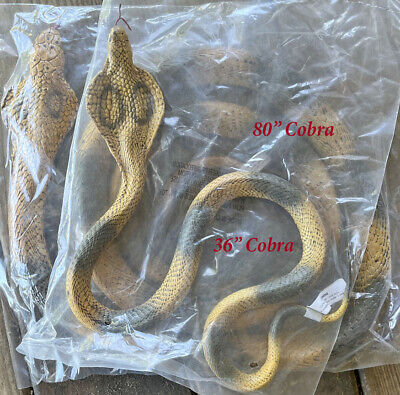 Cobra Rubber Snake – Treehouse Toys