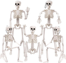 5Pcs Halloween Skeleton Decoration, 16  Full Body Posable Halloween Hanging Skel
