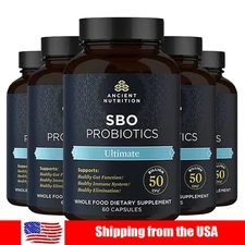 Probiotic Gut Health Blend Probiotic Blend for Digestive Health 60 Capsules