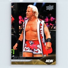 2025 Upper Deck AEW Jeff Jarrett #24