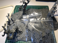 Warhammer Wald