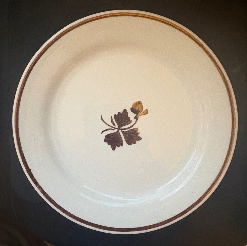 Tea Leaf Ironstone Plates (4)