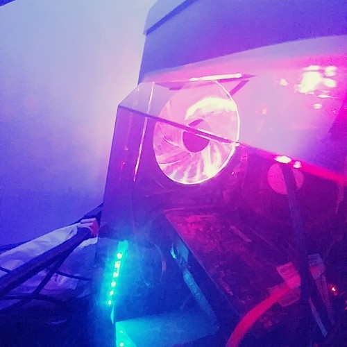 Phledkt_m1 Phledkt_m1