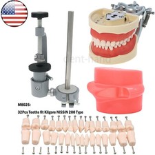 Dental Typodont Model Kilgore NISSIN 200 Type With 32Pc Removable Screw-in Teeth