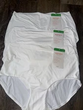 Warners ~ Womens Brief Underwear Panties Nylon Smooth Over High Waist 3-Pair ~ L
