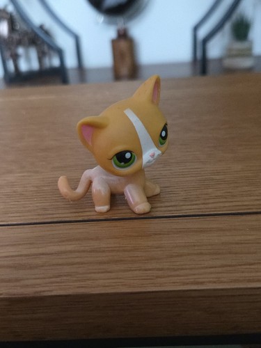 Littlest Pet Shop Authentic #72 Kurzhaarkatze gelb & weiß grüne Augen LPS