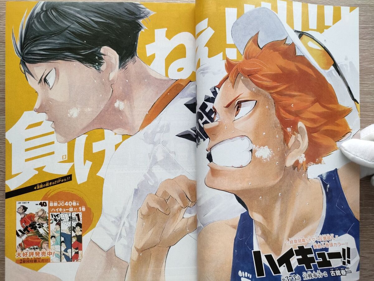 Haikyu!!, Wiki Haikyuu