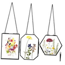Hanging Pressed Flower Frames, 3Pcs Double Glass Floating Picture Frame Black-3