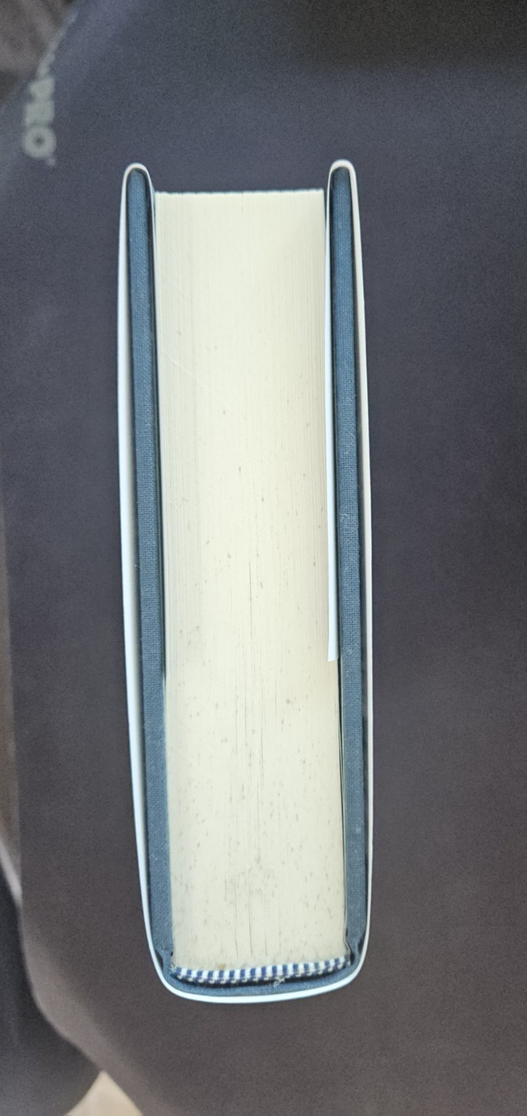Picture 8 of 10