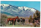 Horsehead, Abajo Blue Mountains Monticello/Blanding Utah c1960's Unused Postcard