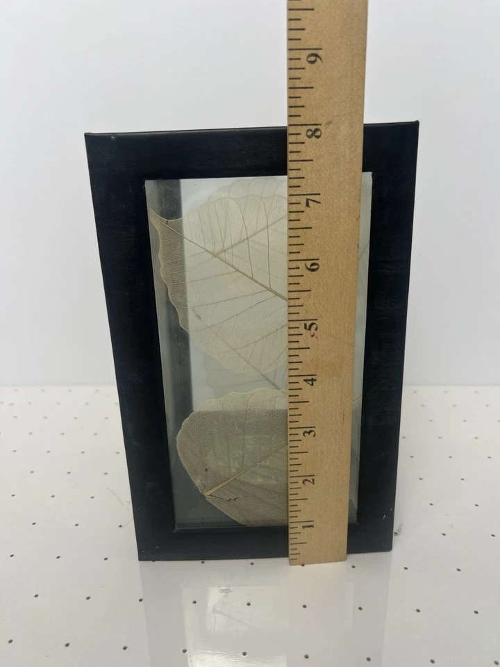 Candelabro Hoja Prensada Vidrio y Metal Linterna 8" Marco Negro Decoración Boho India Foto 2 de 4