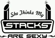 Vinyl Decal for Window  - She Thinks My Stacks Are Sexy (Diesel)