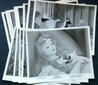 14 Disney SLEEPING BEAUTY Original Promo FILM STILLS Re-Release 1979 — photo 1