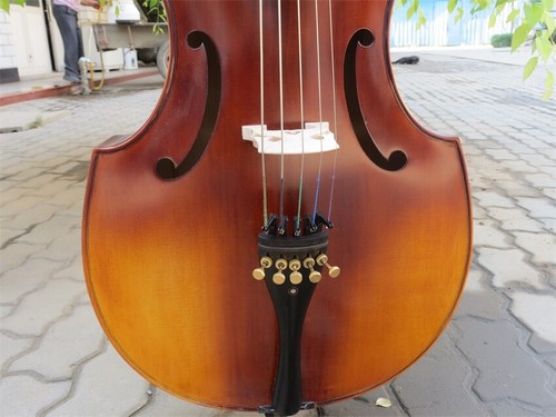 Baroque style Solid wood SONG Maestro install Frets 5 strings 27" viola da gamba - Picture 5 of 12