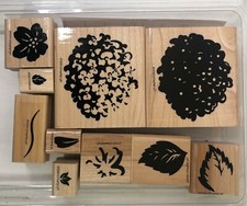 Stampin' Up Definitely Decorative Hydrangea Stamp Flower Set 10 1995 LRS17