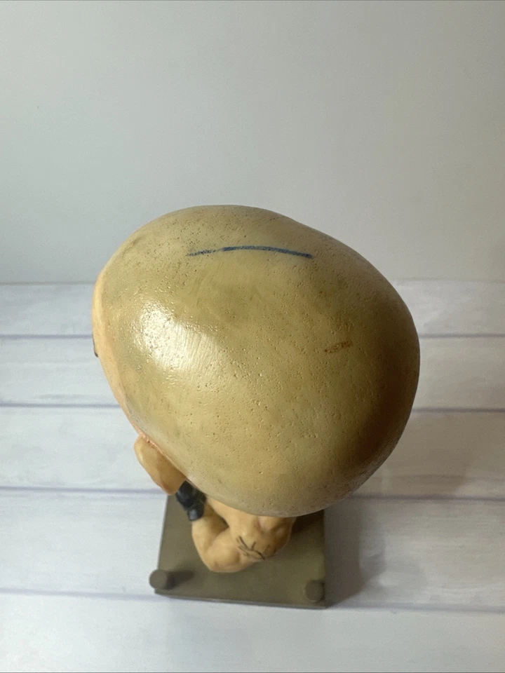 Figuras coleccionables Goldberg Bobble Head hechas de poliresina WCW y WWE Big Boys Foto 2 de 3