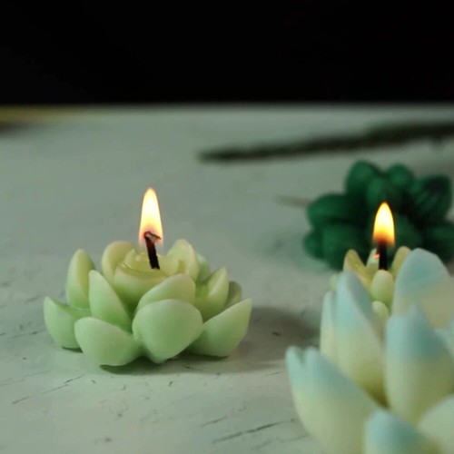 Succulent Plants Silicone Mold Simulation Soap Making Mold Soft Cake
