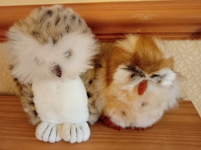 Zwei Plüsch Eulen Stofftiere - ein Heritage House