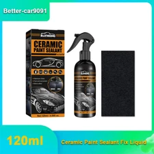 Car Wash Kit Rapid Ceramic Paint Sealant Kit Pro Paint Sealant Polish 120ml US
