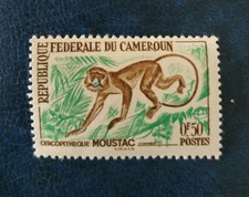 CAMEROUN - 1962 Postage Stamps - Animals - singe Moustac - 0.50F - neuf**
