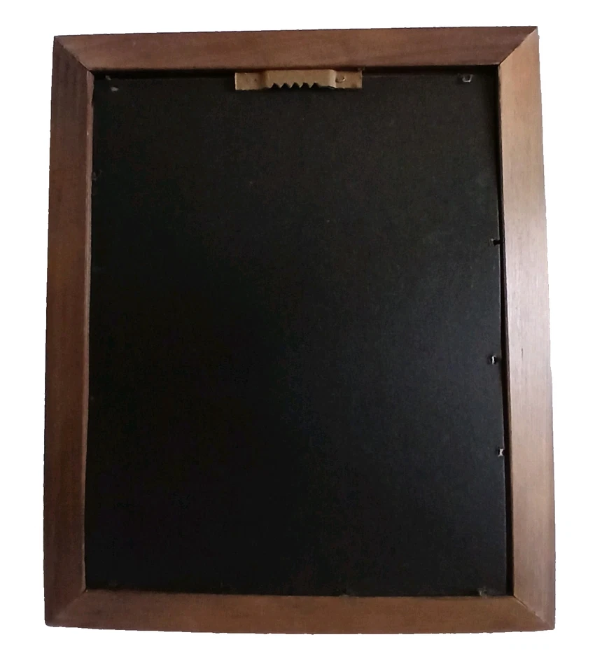 Colección de estampillas y monedas vintage de centavos The Trailblazer Buffalo Nichol Fice Foto 3 de 3