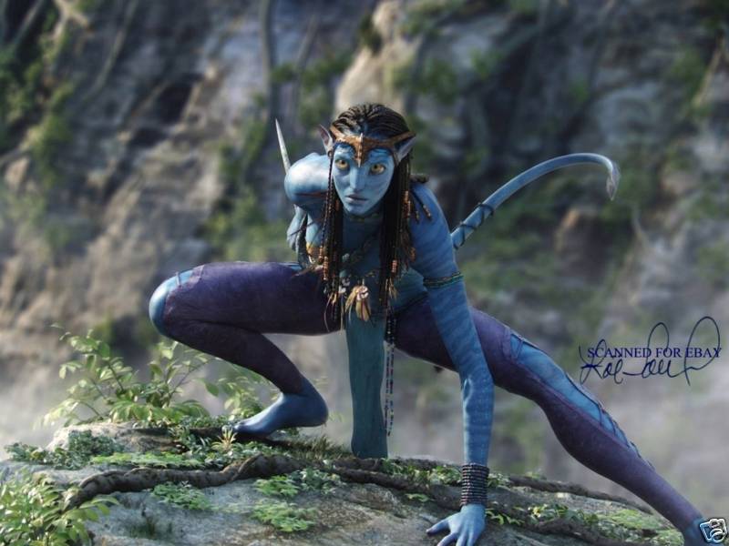 ZOE SALDANA SIGNED AUTOGRAPH 8x10 RP PHOTO AVATAR NEYTIRI | eBay