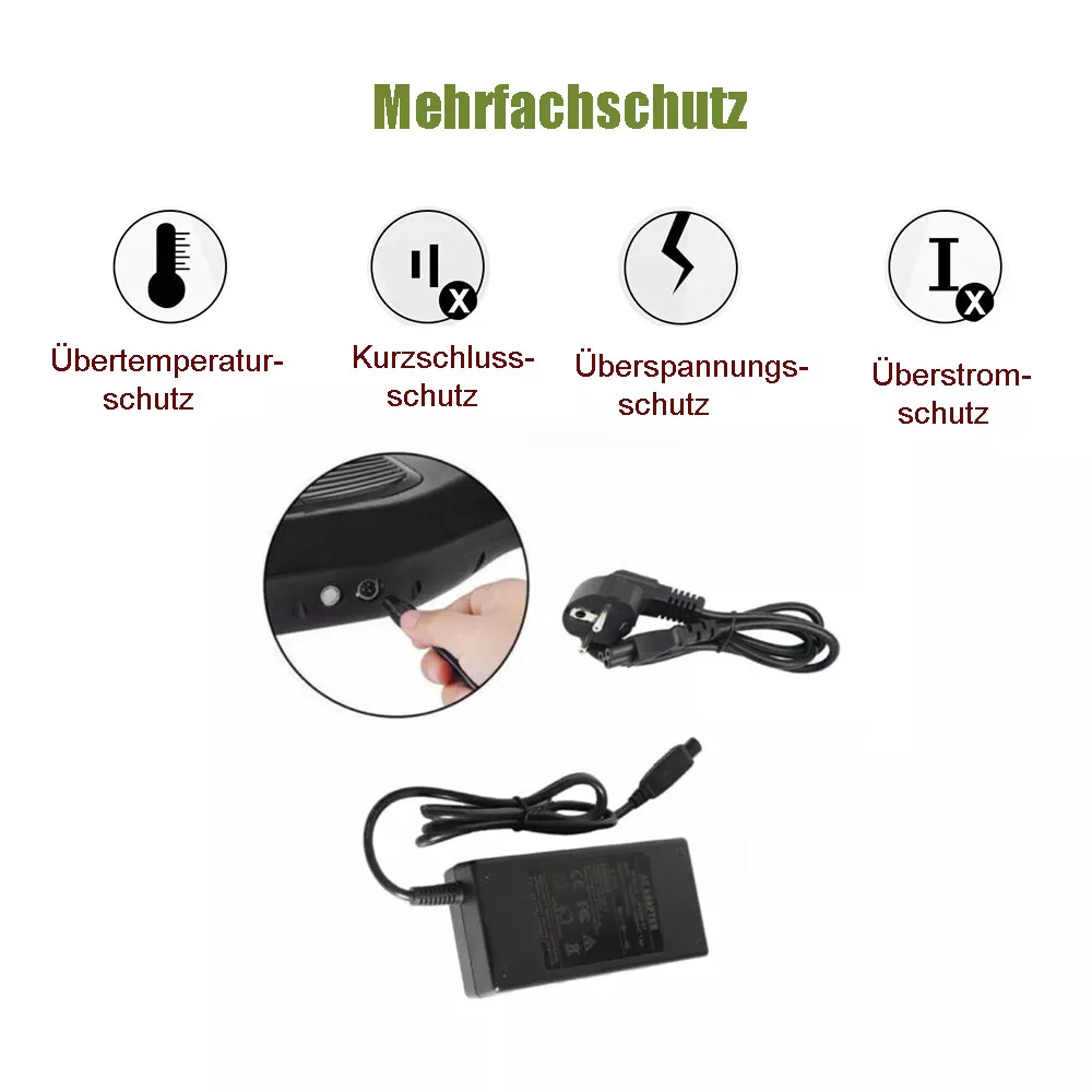 Bild 8 von 12