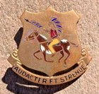 WW2 US Army Military 322nd Cavalry Reconnaissance Distinctive Unit Insignia