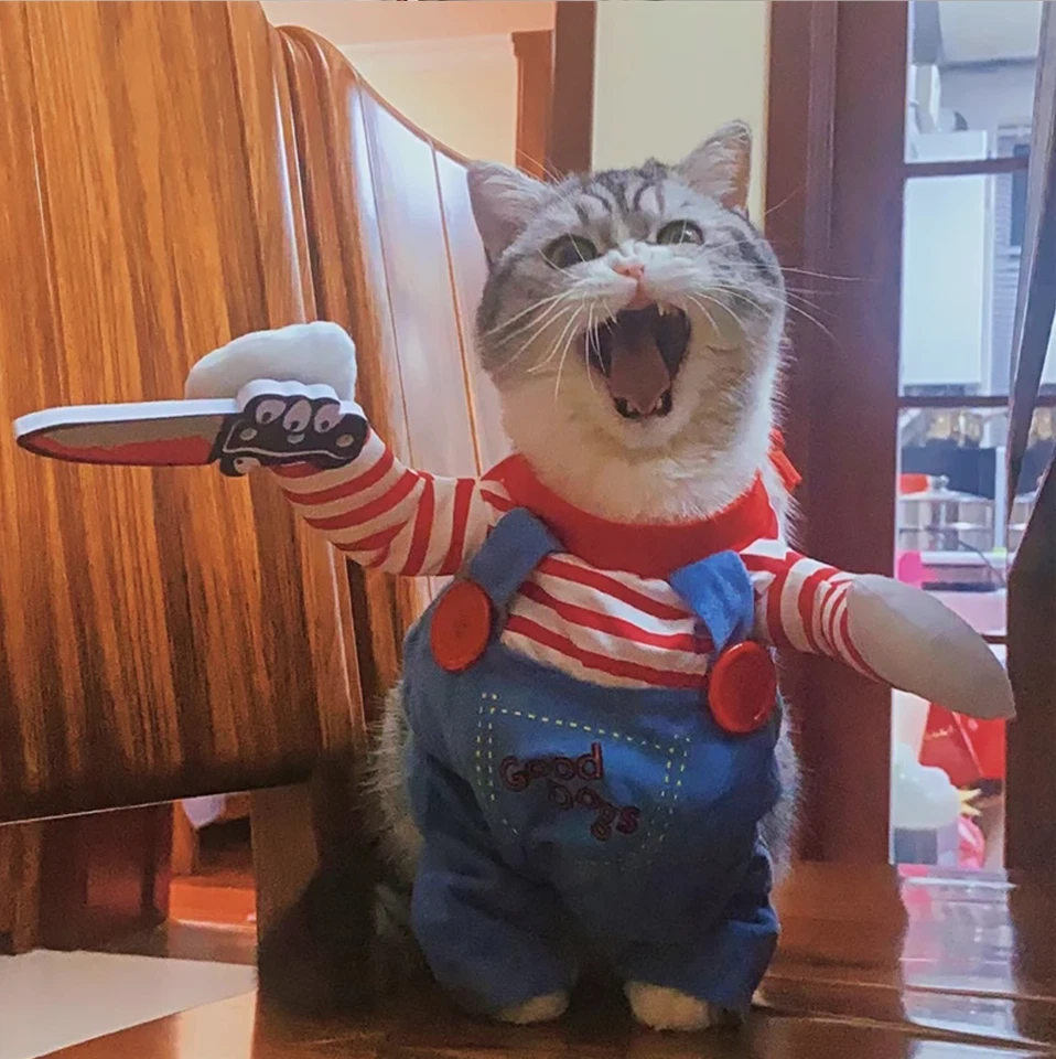 Funny Cat Clothes Coat Halloween Cosplay Costumes For Small Medium Dog Cats - Image 4 of 4