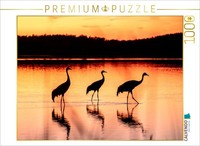 Calvendo Puzzle After Sunset, Cranes At Their Roost Wade Through The Water | 100