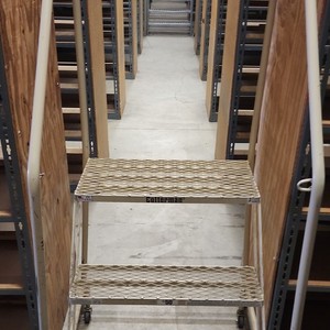 Cotterman 2-Step Rolling Ladder Model 50 Industrial
