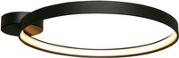 Deckenleuchten Led 1X50W 5520LM IP20 3000K Schwarz Modern