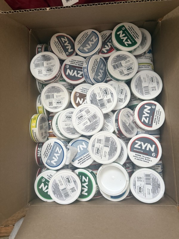Zyn Cans Empty Unused Codes 174 Total Codes 2160 points 