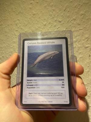 LifeTCG Gervais Beaked Whale HOLO 07/100