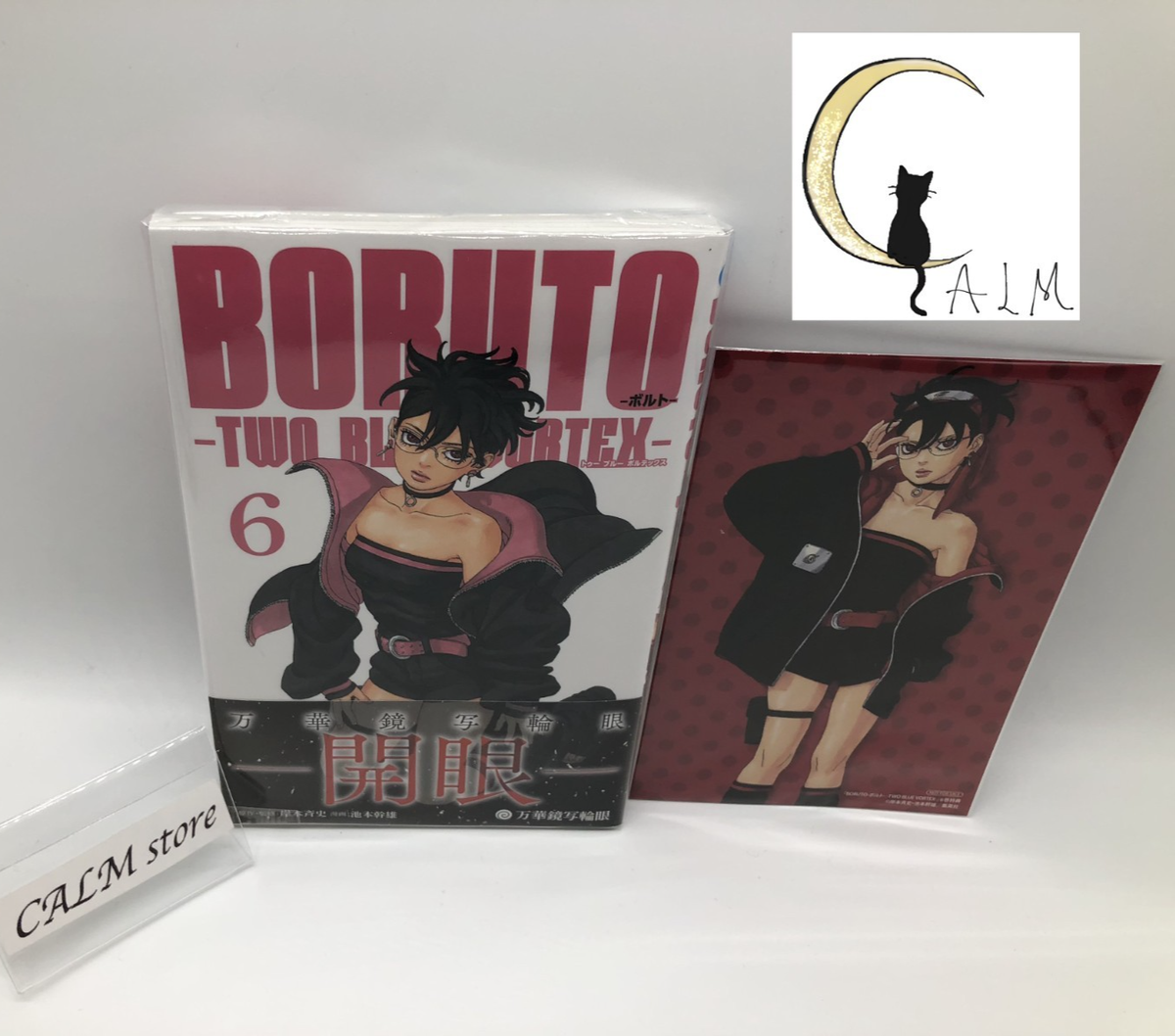 Boruto: Two Blue Vortex Vol. 6 Japanese w/ SARADA Illustration